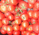 Plus de quatre milliards de francs de chiffres d’affaires pour la tomate