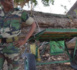 Altercation entre militaires gambiens et agents des eaux et forêts Sénégalais