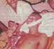 Hamza Doucouré, ce Sénégalais tué au Yémen.