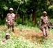 Crise casamançaise: Comment les neuf (9) militaires, dont un officier, ont été tués hier ? 