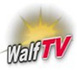 Les faiblesses commerciales du groupe de presse Walf 