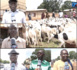 Foirail Ziguinchor / Les clients dénoncent la cherté des moutons et interpellent l'État