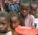Le monde rural face à une forte pénurie de céréales: La famine menace dans le département de Mbour