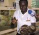 Présence d'un soi-disant serpent aux Hlm Las Palmas de Guédiawaye : La conclusion du gérant du Reptilarium du Parc de Hann