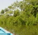 Campagne électorale en Casamance: Alors que le Mfdc appelle au boycott, qui aura le courage d'affronter les éventuels assauts rebelles et les mines ?