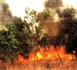Kédougou : un violent feu de brousse sévit à Dindéfélo depuis mardi