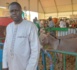 JOURNÉE DE L'ÉLEVAGE / Des "mbaam seuf" exposés par le Président de la fédération des Laobè du Sénégal.