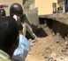 Le mur du Lycée des Parcelles Assainies s'effondre sur des enfants (VIDEO)