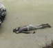 Découverte macabre à Cambérène 1: un corps dont les membres ont été sectionnés.