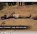 Suivez, en exclusivité, la vidéo intégrale de l'exhumation de Bara Sow et d'Ababacar Diagne