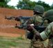 Mali, Guinée-Bissau: l'Afrique de l'Ouest décide d'envoyer des militaires pour appuyer la transition