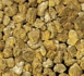 KÉDOUGOU : La Douane saisit 1,444 kg d’or brut.