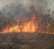 Un feu de brousse s’est déclaré à l’aéroport de Ziguinchor.