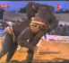 Lutte: Zoss bat Boy Niang (VIDEO)