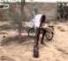 Le Ndogou de Per Bou Xar - 30 Juillet 2012 (VIDEO)