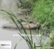 PHOTOS - Gueule Tapée: le cadavre d'un homme retrouvé dans le Canal 4.