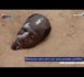 Brigate de polisse avec Per Kou Khar - 13 Août 2012 (VIDEO)