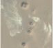De nouvelles pyramides découvertes en Egypte grâce à Google Earth ?