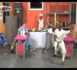 La Gargote avec Amina Poté 15 Aout 2012 (VIDEO)