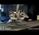 Cheetah, plus rapide qu'Usain Bolt (VIDEO)