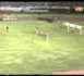 Sénégal - Côte d'Ivoire : Regardez le premier but de Didier Drogba (VIDEO)
