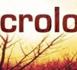 Nécrologie : Cheikh Yérim Seck en deuil.