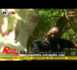 "Reug Reug" avec l'expert des moutons - SenTV (VIDEO)