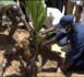Campagne de reboisement national : 699 arbres plantés à Tivaouane et Ndiassane par Abdou Karim Sall.