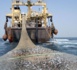 Secteur de la Pêche : Les acteurs interpellent le Président de la République