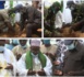 Campagne reboisement à Ndioum et Gamadji Saré :  Abdou Karim Sall pour reverdir le "cœur" de Podor