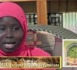 CORAN, psalmodie de Mame Diara SECK (Nisf 1) 