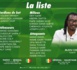 Liste de Aliou Cissé : Les Lions avec Boulaye Dia, Pape Cheikh Diop, Mame Baba Thiam et Opa Nguette de retour.