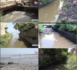 Reportage / La Baie de Hann : Cette merveille rare, menacée de disparition par les déchets et eaux polluées...