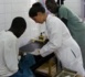 Médina Yéro Foula et Vélingara en zone rouge en matière de nutrition (médecin)