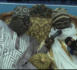 Médina Baye : Cérémonie de réception des hôtes étrangers par l'Imam Cheikh Tidiane Alioune Cissé.