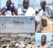 REPORTAGE DU JOUR / Vague d'immigration clandestine : Les positions tranchées des pêcheurs de Yoff...