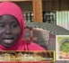 CORAN, psalmodie de Mame Diara SECK Nisf2 (VIDEO)