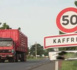 Kaffrine : Un camion traverse un troupeau de plus de 200 bœufs et en tue une vingtaine.