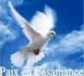 Motion d’invite à la cessation des hostilités en Casamance