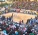 Emission Lamb Roffo (TFM)