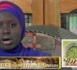 CORAN, psalmodie de Mame Diara SECK (Nisf3)
