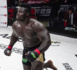 Combat MMA : Reug-Reug met Alain NGalani K.O !
