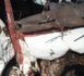 Ngathie Nawoudé : 07 morts et une dizaine de blessés dans un accident à hauteur du village de Daga Diakhaté (Bilan provisoire).