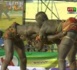 Petit Tigre bat Feugueleu 2 au finish dans le premier combat (01/04/2013)