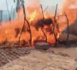 INCENDIE / Ndame dans l'arrondissement de Bamba Thialène visitée par le feu.