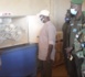 Régénération de l'autruche à col rouge au Sénégal : Israël offre 18 œufs à l’Etat