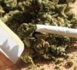 Gambie : 70 agents de l'agence de lutte anti-drogue suspendus pour consommation...de marijuana.