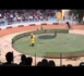 Un ours à vélo qui attaque un singe, dernier scandale dans un zoo chinois
