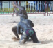 (Mbapatt) Drapeau Doudou Diagne Diécko : "Gourdin" "écrase" Moussa et remporte la cagnotte en catégorie poids léger.