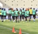 Qualificatifs mondial 2022 : Les lions en piste dès le mois de mai prochain…